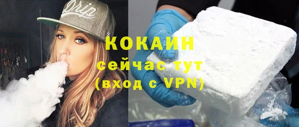 твердый Козловка