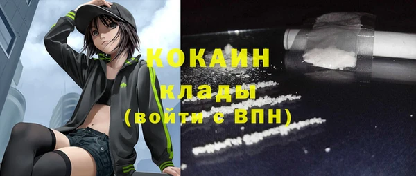 твердый Кодинск