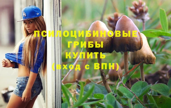 твердый Кодинск