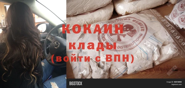 твердый Кодинск